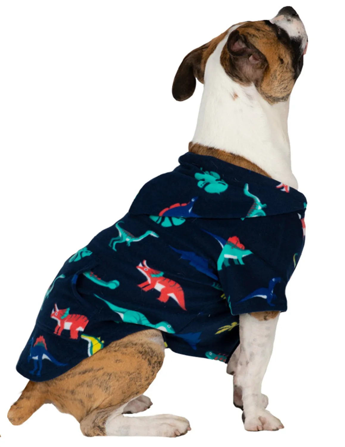 Dinosaur Kingdom Pet Pjs Fleece Hoodie