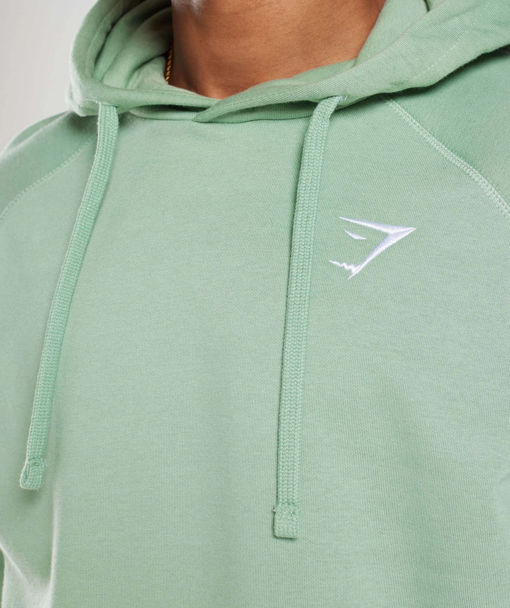 Gymshark Crest Hoodie - Desert Sage Green