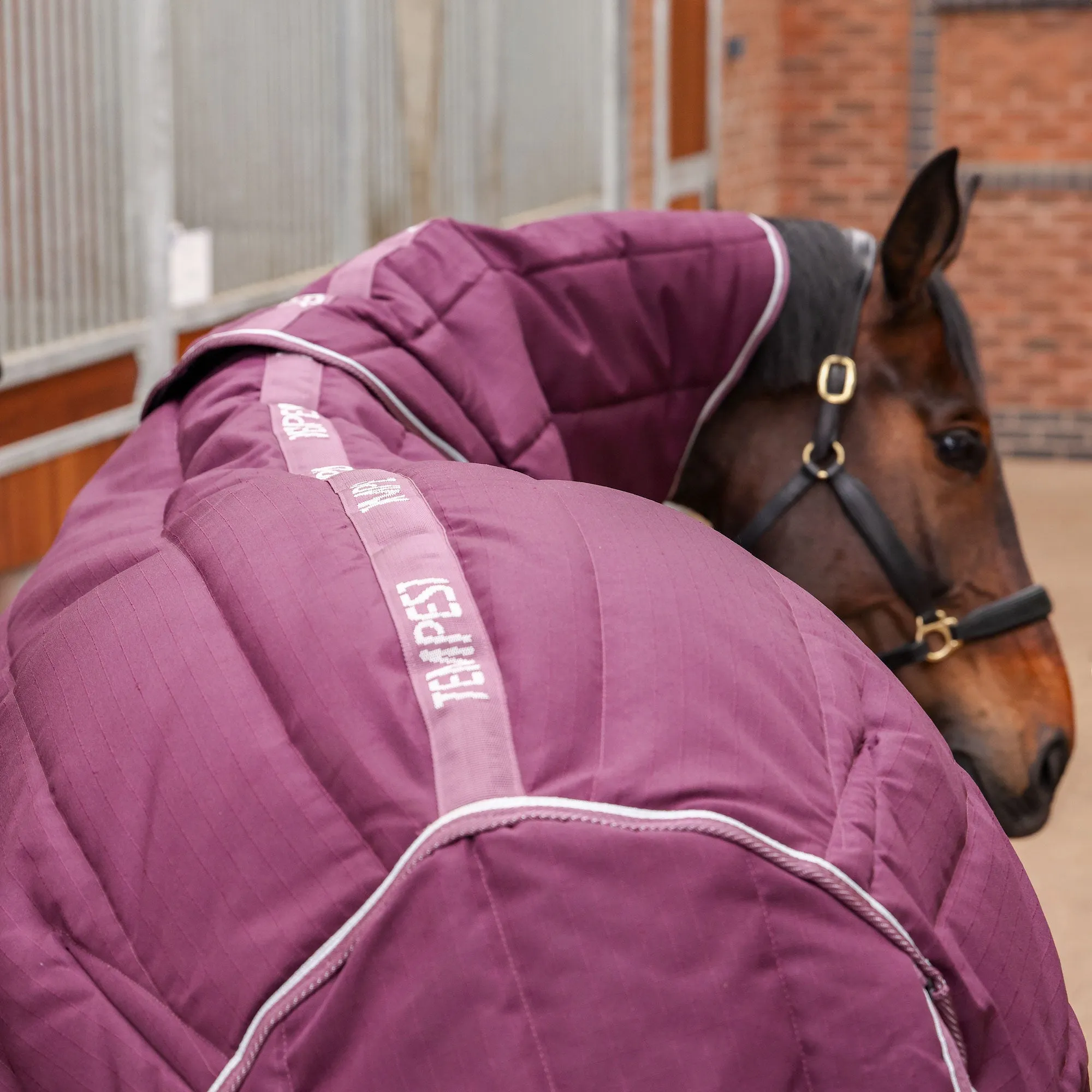 Shires Tempest Original 300g Stable Rug & Neck